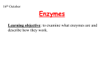 Enzymes what are they