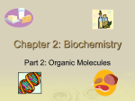Chapter 6: Biochemistry