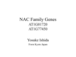 NAC Family Genes AT1G01720 AT1G77450