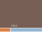 Cells - NCSscience