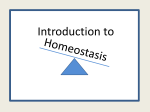 Introduction to Homeostasis