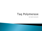 Taq Polymerase - cloudfront.net