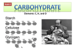 Kuliah3 S1-Biokim2-Karbohidrat