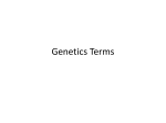 Genetics Terms