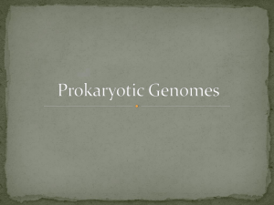 Prokaryotic DNA notes