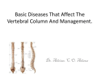 Basic Diseases That Affect The Vertebral Column And Management.