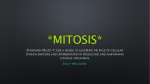 Mitosis - Wikispaces