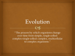 Evolution Bootcamp PowerPoint