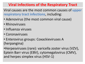 Influenza A Virus