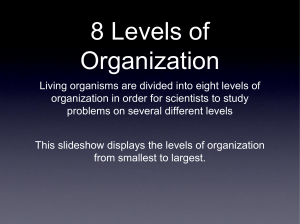 8 Levels of Organization