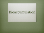 Bioaccumulation - Mr. Barnes` Classroom