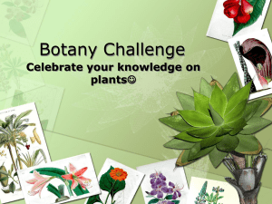 Botany Presentation