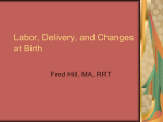 Labor, Delivery, and Changes at Birth