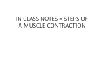 IN CLASS NOTES = STEPS OF A MUSCLE CONTRACTION