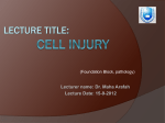 Overview of Cell Injury and ADAPTATION
