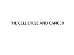 Cancer - TASIS IB Biology