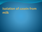 Isolation of casein from milk