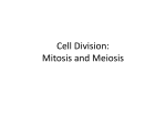 Cell Division: Mitosis and Meiosis