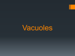 Vacuoles