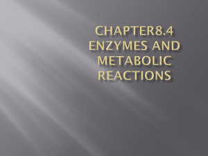 8.4 Enzymes speed up metabolic reactions by