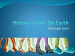 The History of Life On Earth