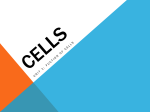 Cells - Humble ISD