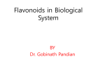 Flavonoids in Biological System