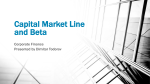 Capital Market Line and Beta