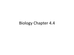 Biology Chapter 4.4