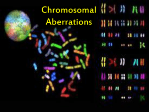 Chromosomal Aberrations