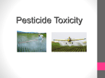 Insecticides: Cholinesterase Inhibitors