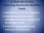 G-Mod Lab Powerpoint