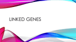 Linked genes