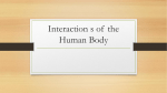 Interaction s of the Human Body