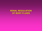 L7- Renal regulation of body fluids2014-08-21 10