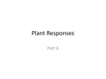 Plant Responses - MrsSconyersLabBiology