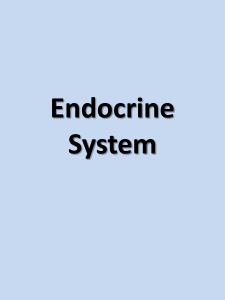 Endocrine System