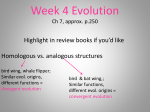 SAT 2 week 4 Evolution/Classification File