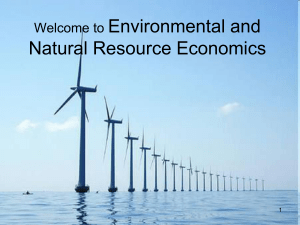 Environmental Economics and Pollution