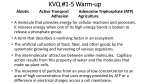 KVQ #1-5 Warm-up
