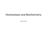 Homeostasis and Biochemistry