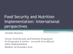 Food Security and Nutrition Implementation: International