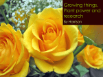 Growing things, Plant power and research