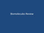 Biomolecules Review