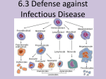 InfectiousDisease