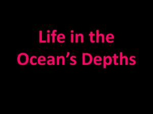Chapter 18: Life in the Ocean*s Depths