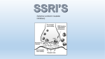 SSRI`S - Psych205