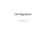 Cell Regulation