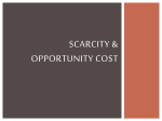 Opportunity Cost