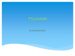 tsunami - Tull13
